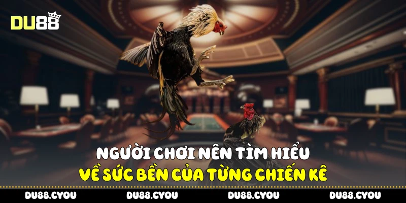 Người chơi nên tìm hiểu về sức bền của từng chiến kê